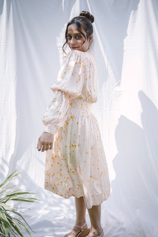 Ashlesha dress
