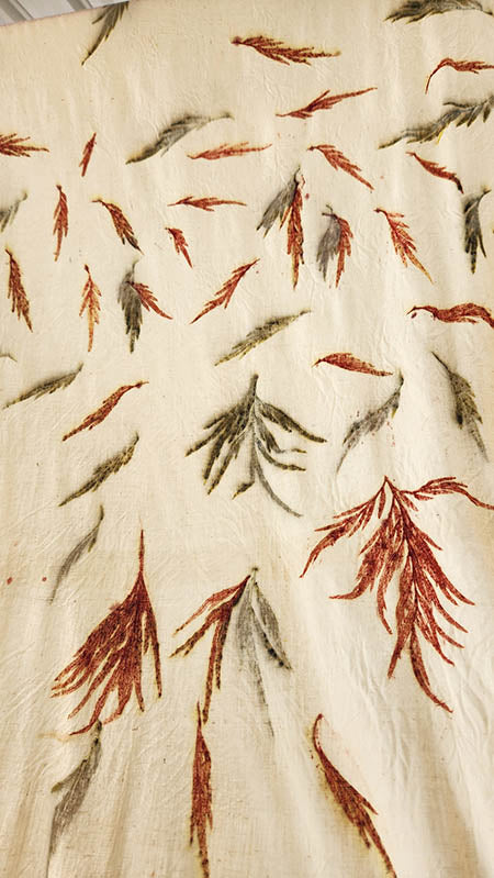 Eco-Printing Workshop