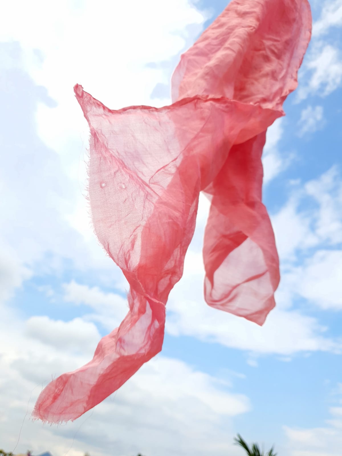 Natural Dyeing Workshop Online