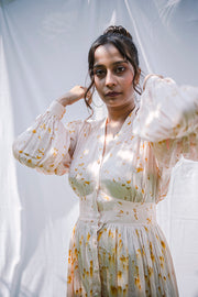 Ashlesha dress